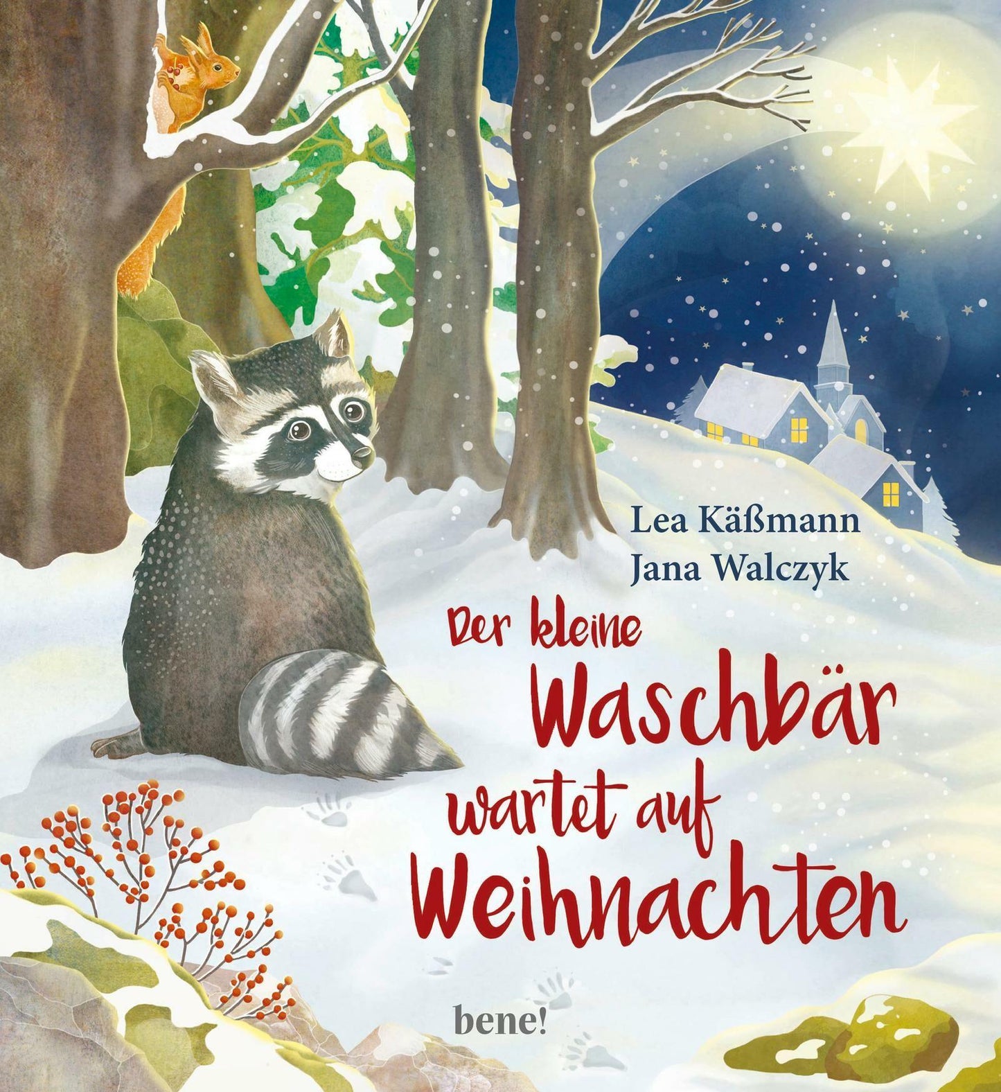 Der kleine Waschbär wartet auf Weihnachten - The Little One • Family.Concept.Store.